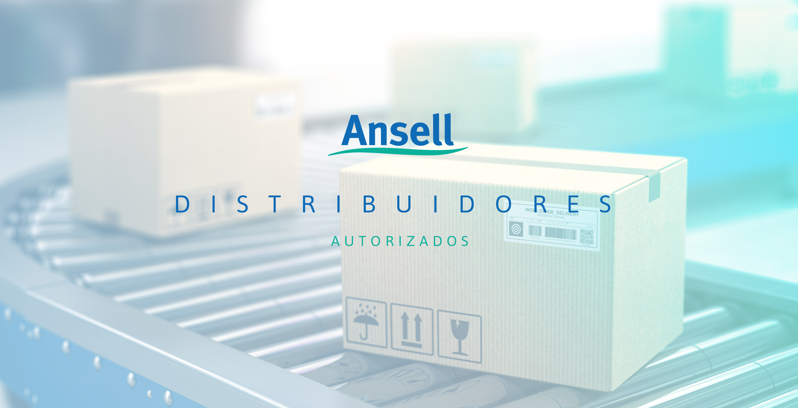 Lista De Distribuidores Autorizados Ansell En México